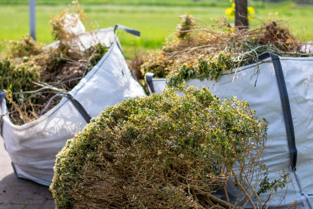 Debris Removal in Bellefontaine, OH